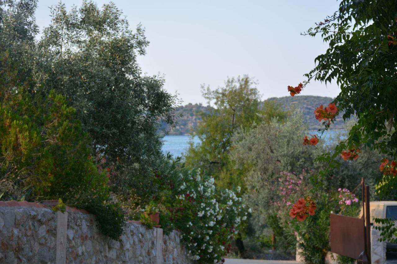 Aristotelis Epidaurus Ngoại thất bức ảnh