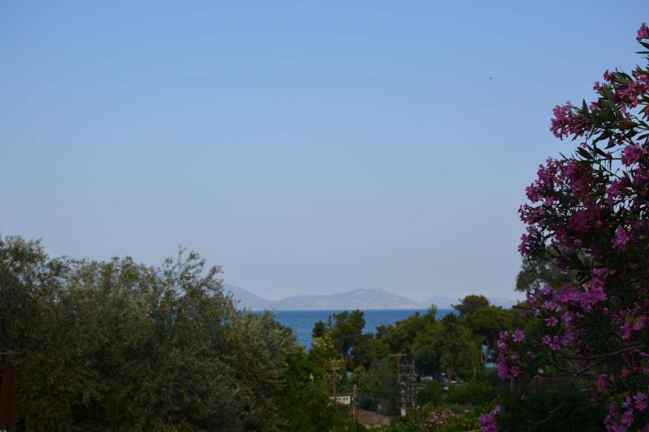 Aristotelis Epidaurus Ngoại thất bức ảnh