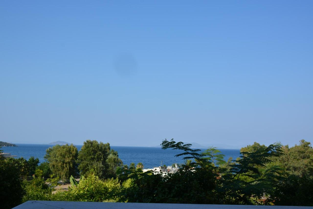 Aristotelis Epidaurus Ngoại thất bức ảnh